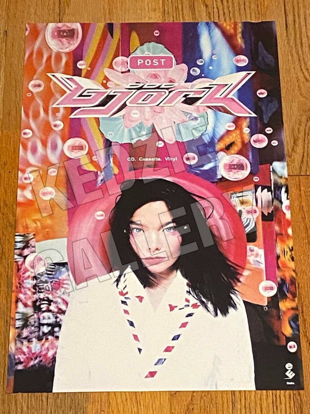 Bjork 1995 Post CD Cassette Vinyl LP Elektra Records Record Store Promo Poster